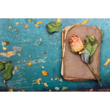 Natural Dry Rose